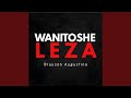 Wanitosheleza