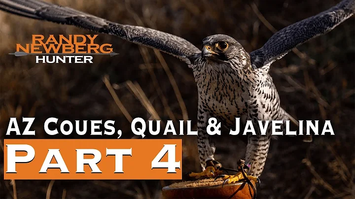 2019 Arizona Coues, Quail & Javelina with Randy Newberg (Part 4)