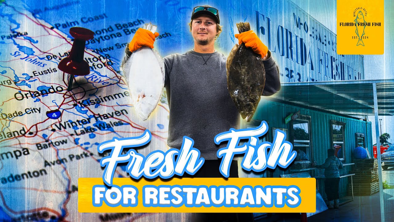 Fresh Fish Direct: Supplying Restaurants from Ocean to Plate | Florida Fresh Fish