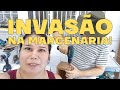 UM INTRUSO INVADIU A MINHA MARCENARIA! FEZ BAGUNÇA!