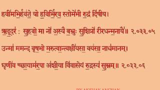 Rudra sukta from rigveda recitation by vedic pundits with text in
devanagari mandala first 1-043-01 to 1-043-09 and 1-114-01 1-114-11
mand...