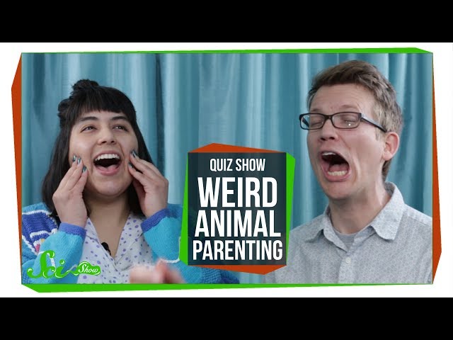 SciShow Quiz Show: Weird Animal Parenting