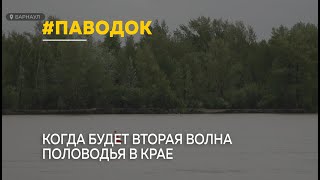 Когда будет вторая волна паводка в Алтайском крае