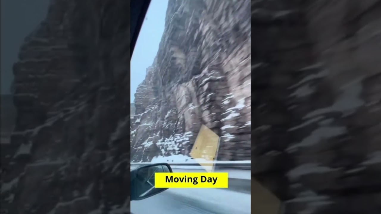 MOVING DAY