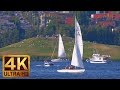 3 Hours - 4K Urban Relaxation Video | Nature Sounds - Seattle Lake Union Park