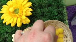 Dünya Arı Günü Kutlu Olsun