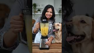 Oscar...... #dog #ai #dogs #aivideo #funny #funny #love #like #trending #health #animotion