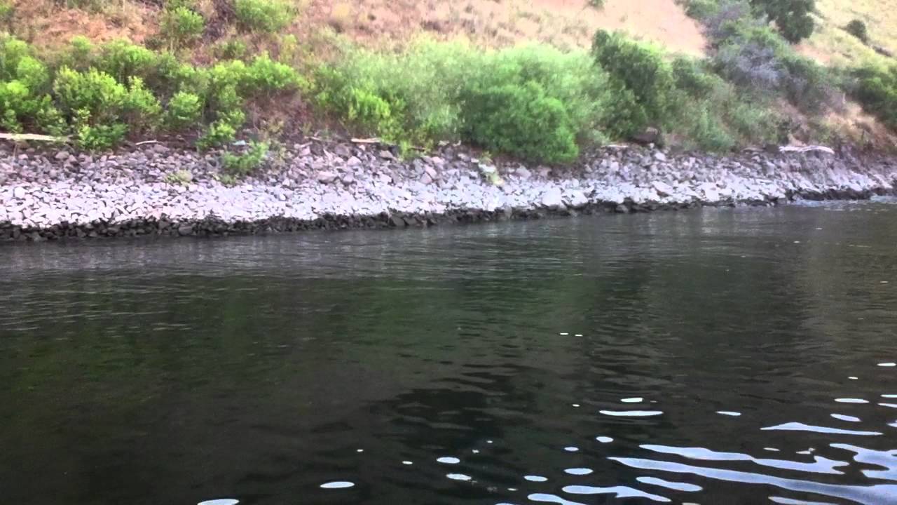 Bass Fishing at Brownlee resovoir near Hells Canyon, Idaho YouTube