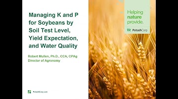Webinar: Managing P and K on Soybeans by soil test level, yield expectation and water quality