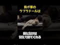 暑い夏の日は涼しい中で暑苦しく寝るラブラドール #shorts #shortvideo #ラブラドールレトリバー