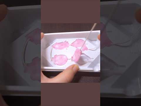 도키도키 <strong>피싱</strong> Doki Doki Fishing #popincookin