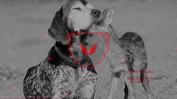 The Okee Dokee Brothers -  Lucy and Tighty