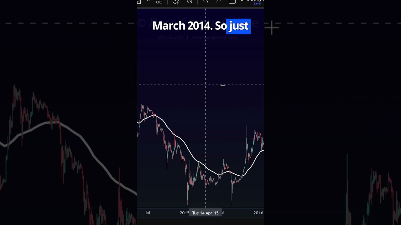 Bitcoin: The Same Routine Every Bear Market