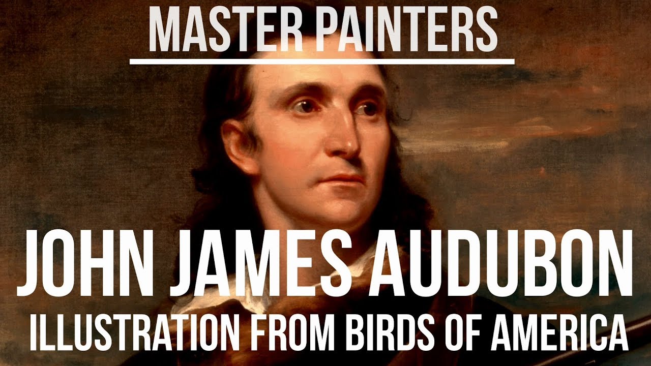 John James Audubon (1785-1851) Illustration from Birds of America (1827)