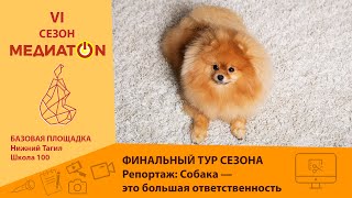 Собака - это большая ответственность. Школа 100, Нижний Тагил. Медиатон 2024, тур 5, финал