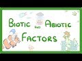 Ecosystem Dynamics: Exploring Biotic And Abiotic Influences