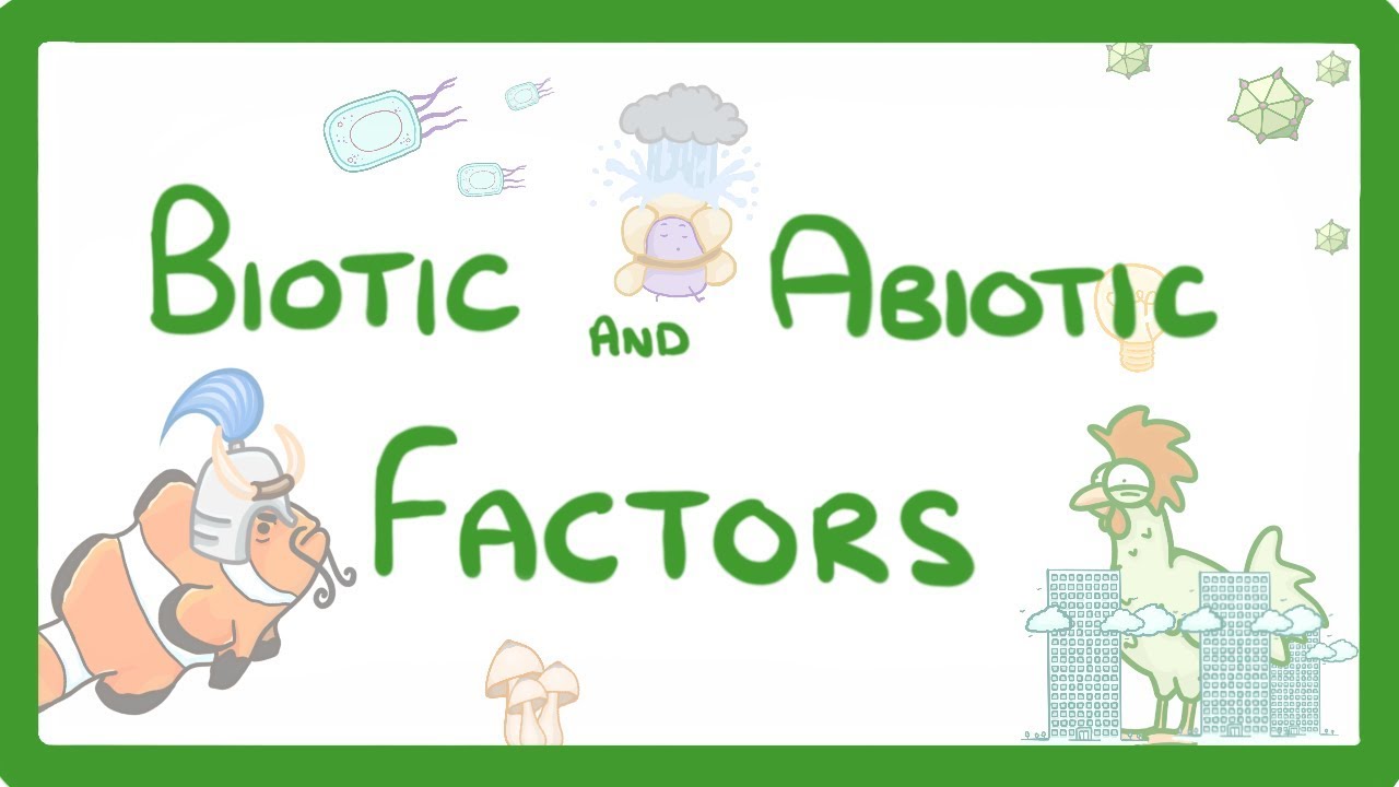 Gcse Biology - Biotic And Abiotic Factors  #83