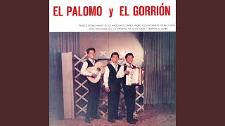 Video thumbnail of "El Palomo y El Gorrión - Trágico Destino"