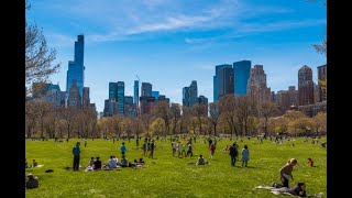 COM 217 Final Video: The Importance of Green Space