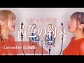 【姉妹でハモる】茜色の約束 / いきものがかり Covered by 奈良姉妹
