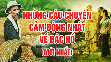 Rưng Rưng Nước Mắt Khi Nghe GS Hoàng Chí Bảo Kể Chuyện Về Cuộc Sống Kham Khổ Của Bác Hồ