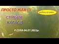 Підводна зйомка.Карасів просто жах.