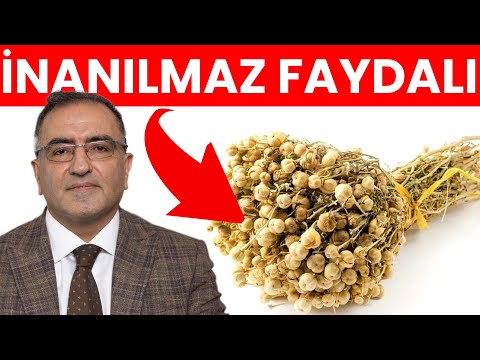 ÜZERLİK TOHUMUNUN FAYDALARI!