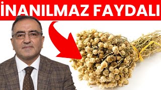 ÜZERLİK TOHUMUNUN FAYDALARI! Resimi