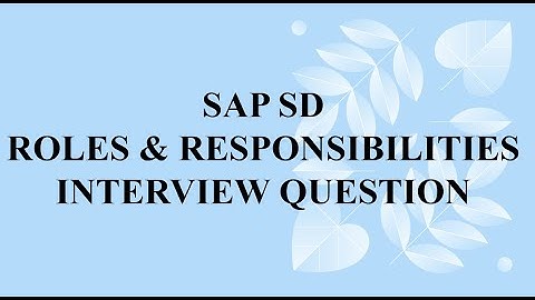 sap sd consultant project implementation roles and responsibilities | role of sap sd consultant