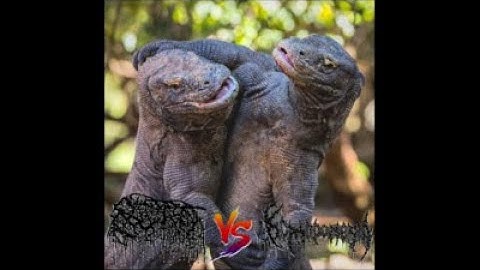 Bloat - Split with Komodonesia