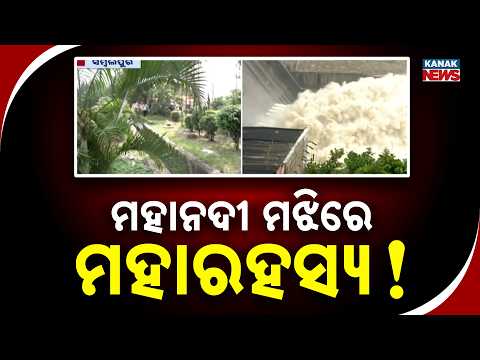 ହୀରାକୁଦର ରହସ୍ୟମୟ ଟାପୁ! Hirakud Dam Mystery Island | The Hidden Green Paradise in Mahanadi