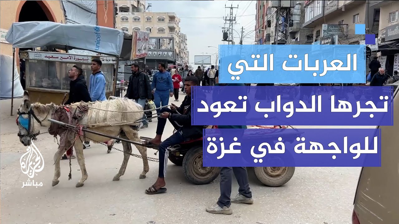 العربات التي تجرها الدواب تعود للواجهة في غزة