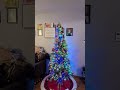 we put up the tree today