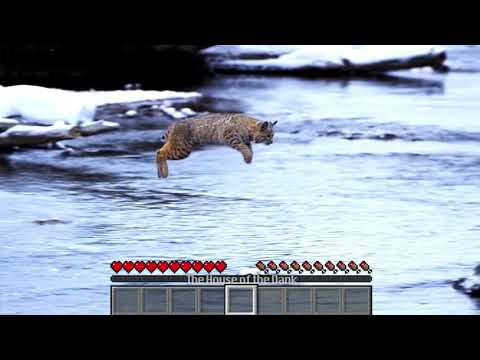 lynx-catto-vs-lake-jump-gone-minecraft-meme