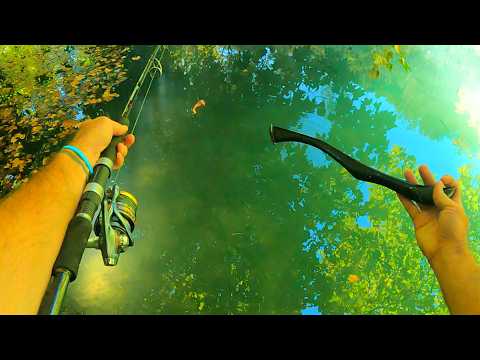 Je ne m'attendais pas à ça ! Surdéveloppé le couz!