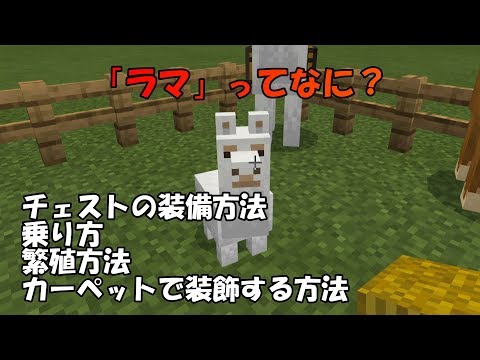 マイクラ統合版 ラマ アルパカ のチェストの装備方法 乗り方 繁殖方法 カーペットで装飾する方法 マインクラフト Youtube