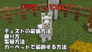 マイクラ統合版 ラマ アルパカ のチェストの装備方法 乗り方 繁殖方法 カーペットで装飾する方法 マインクラフト Youtube