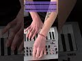 MINILOGUE KORG IMPRO LOOPER DITO TC ELECTRONIC