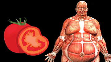 ¿Qué le hace el tomate a tu cuerpo?