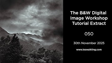 De zwart-wit digitale beeld tutorial 050