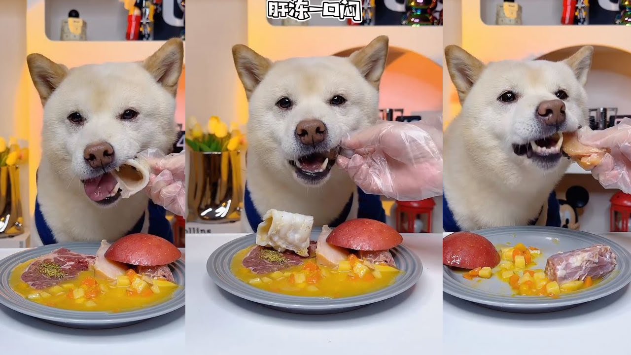 Surprised! What kind of food doesn't taste good in front of Wang Zai? 