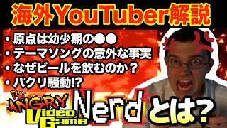 【クソゲー】”怒れるゲームオタク” AVGNとは何者なのか？【海外YouTuber解説】