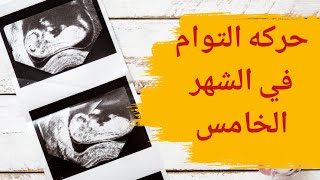 حركة التوأم في الشهر الخامس | كيف تكون حركة التوأم في الشهر الخامس