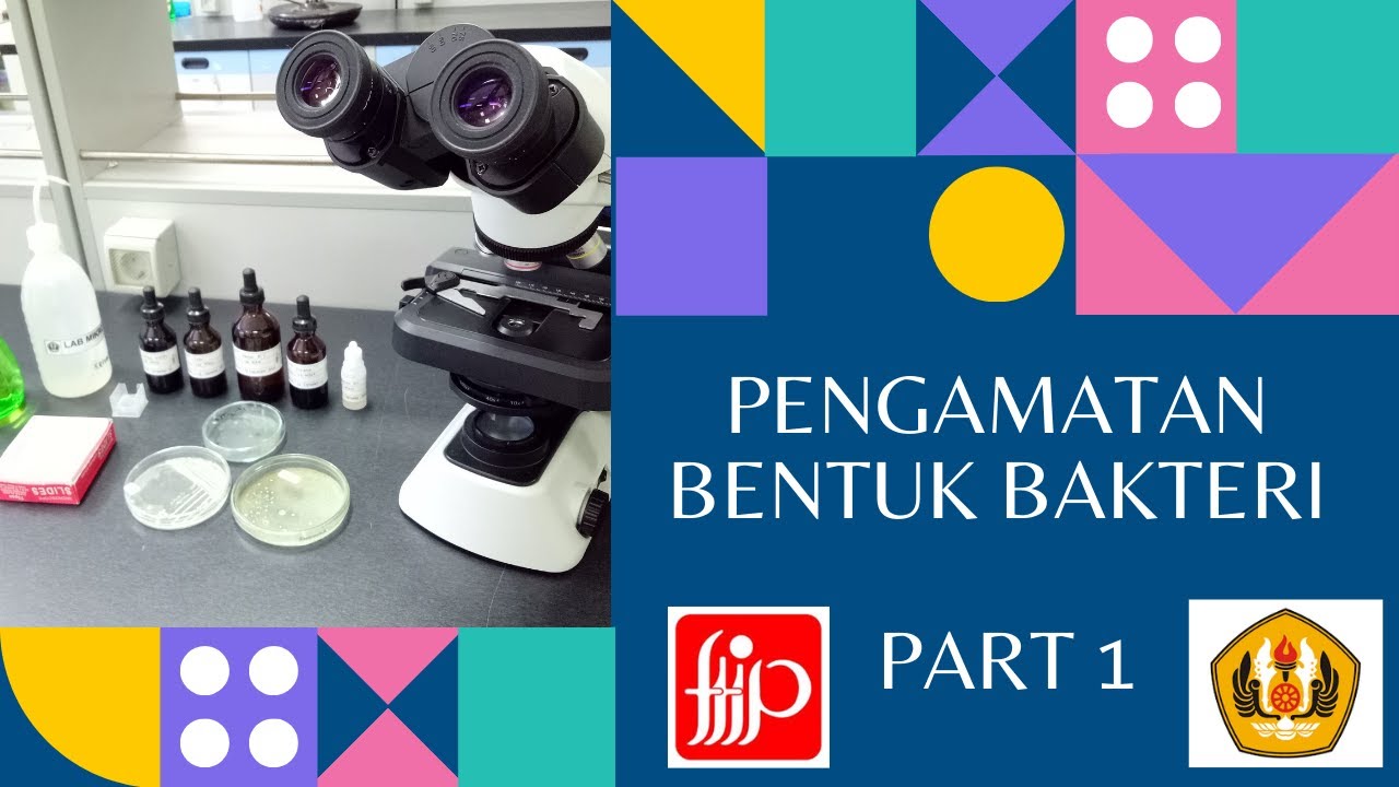 Pengamatan Bentuk Bakteri/Mikroskop Bakteri/Gram staining/Pewarnaan Gram/Apusan Film/microscope
