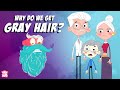 Why Do We Get GRAY HAIR? | Why Does Hair Turn GRAY? | The Dr Binocs Show | Peek…