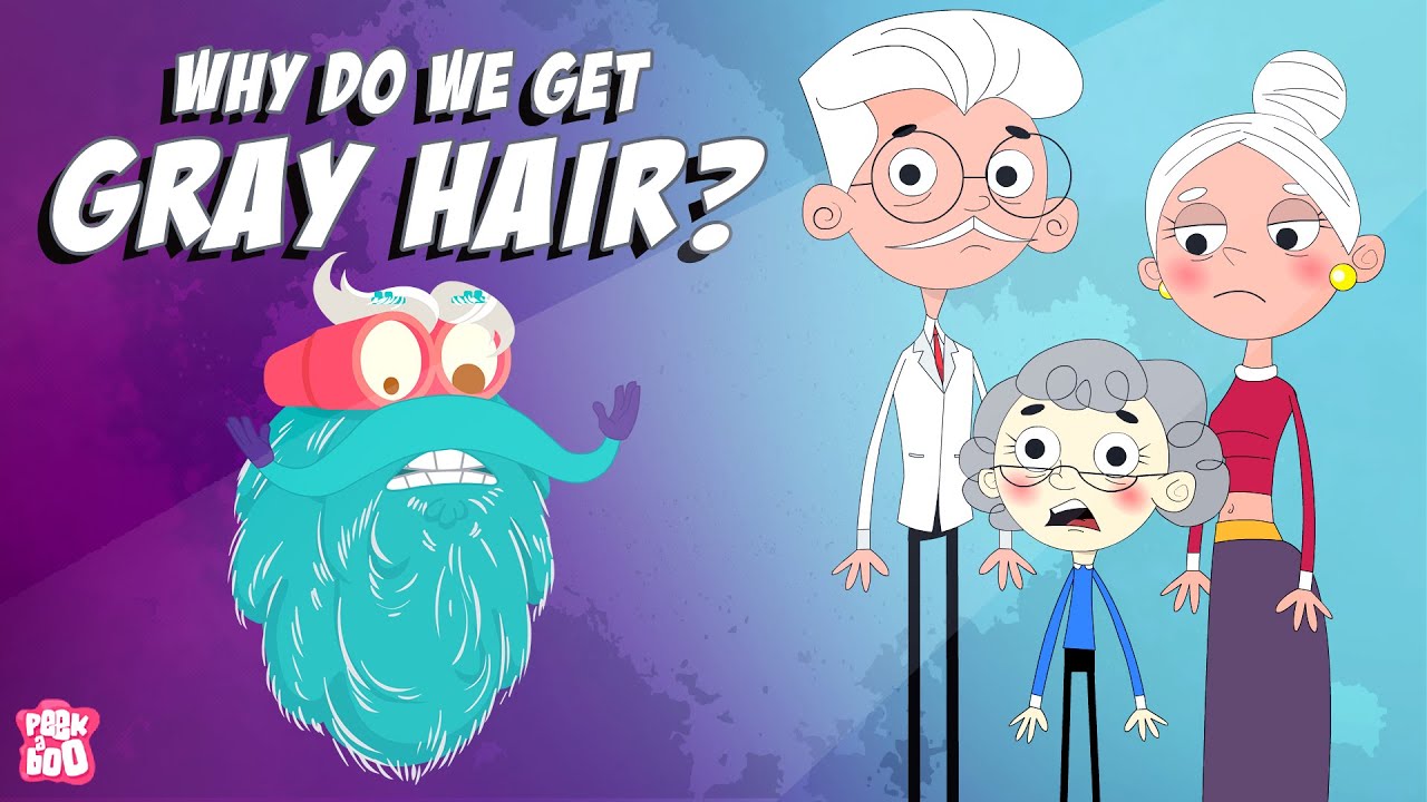 Why Do We Get GRAY HAIR? | Why Does Hair Turn GRAY? | The Dr Binocs Show |  Peekaboo Kidz - YouTube
