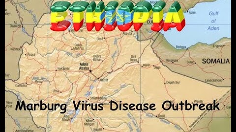 Marburg Virus Disease outbreak in Ethiopia