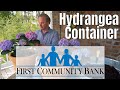 Planting Hydrangeas In Containers