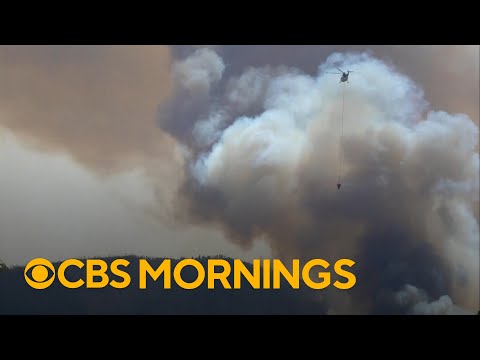 Massive wildfire in Utah expected to become most destructive in history of the state