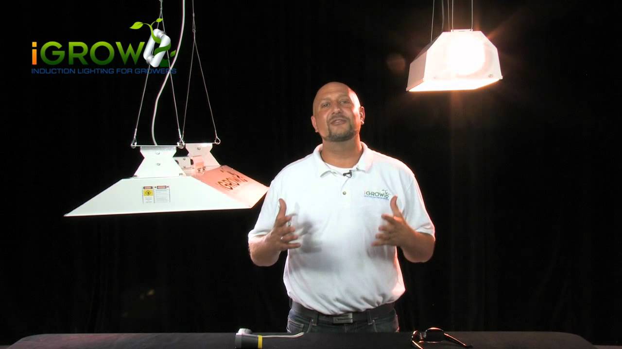Top 15 Best LED Grow Lights: The Heavy Power List | Heavy.com Top 15 Best LED Grow Lights: The Heavy Power List | Heavy.com